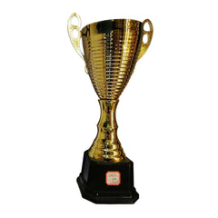 Gold Champion Trophy Cup | 410-3