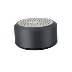 Green Lion Mini Muscle Speaker - Gray | GNMINIMSLSPGY