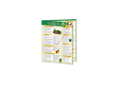 Excalibur Wheatgrass & Spourts | IC-W