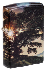 Zippo Cedar Tree Design Windproof Lighter | 205101207