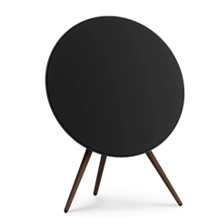 Bang & Olufsen Beosound A9 5th Generation Wireless Speaker