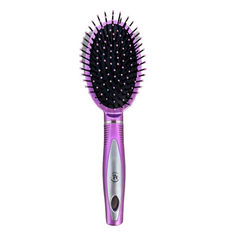 Trendy Accessories Beauty Hairbrush - Purple