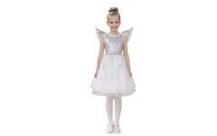 Rainbow Fairy Costume with Dress & Wings | 95286