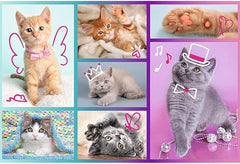 Trefl 60 “Cute Cats” Puzzle | 17373