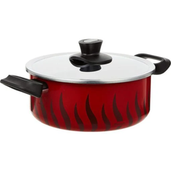 Tefal Tempo Flamme - Stewpot 24cm + SS Lid | C3044683