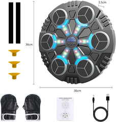 Kids Music Boxing Target Play Set with Gloves – Wireless Round Design | 2021-11B