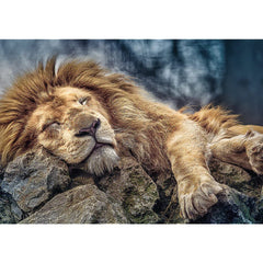 Trefl Sleeping Lion Puzzle - 1000 Pieces | 10447