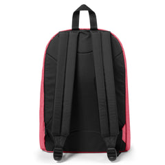 Eastpak Out of Office - Spark Jelly | EK0007677V4