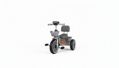 Grey Kids Tricycle with Backrest & Front Basket | ITIM123