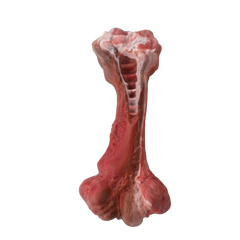 Nobby Dog Bone Rubber Chew Toy Beef Flavor | STBL283