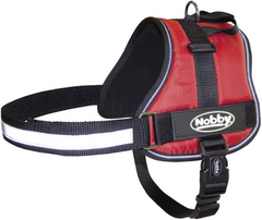 Nobby Harness "Seguro" 45–60cm | 80580