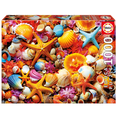 Educa 20246 - Sea Shells & Starfish Puzzle (1000 Pieces) |20246