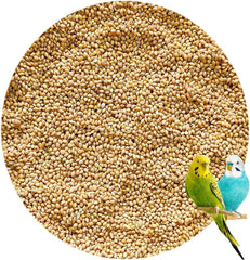Yellow Millets 25KG - Premium Bird Seed