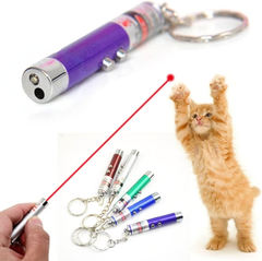 2-in-1 Laser Pointer Pet Toy - Red | PET-LSR-RED01
