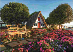 Educa 19938 - Traditional Cottage & Flower Garden 1500-Piece Jigsaw Puzzle | 19938
