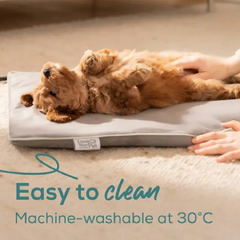 Beurer PP210 LILI Heated Pet Mat