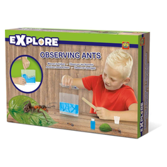 SES Creative Observing Ants Educational Toy | 25084