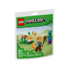 LEGO Alex's Campfire Conflict | 30732