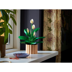 LEGO Peace Lily | 11504