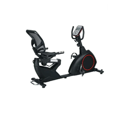 Deluxe Recumbent Bike TS