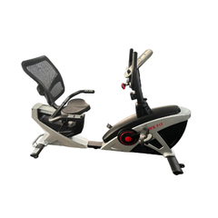 Deluxe Recumbent Bike Life Fit