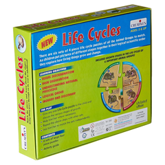 Creatives Life Cycles | 0993