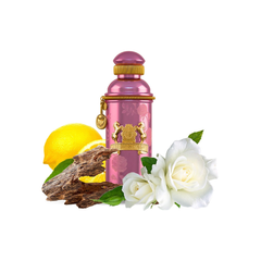 Alex J The Collector Eau de Parfum 100ml