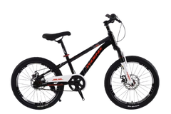 Phoenix Bicycle Front Suspension & Disc Brakes - 20 inch | TS-20