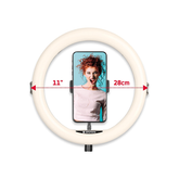 AgfaPhoto Realiview 11'' LED Ring light with Tripod | ARL11