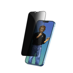 Green Lion 9H Steve Privacy Anti-Peeping Glass Screen Protector for iPhone 11 Pro / XS / X | GNSGPY11PRO