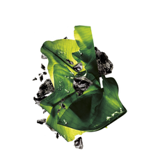 Garnier Charcoal and Algae Hydrating & Purifying Tissue Mask