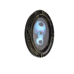 Halloween Haunted Skull Mirror | DS2098