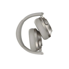 Noise Master Buds Max - Sound by Bose - Titanium