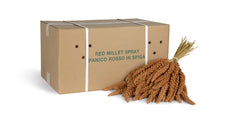 Panico Rosso In Spiga Sfuso 8 Inch Red Millet Spray for Birds 15kg