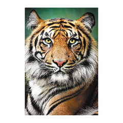 لعبة تركيب الصور Trefl: صورة نمر - 1500 قطعة | 26204