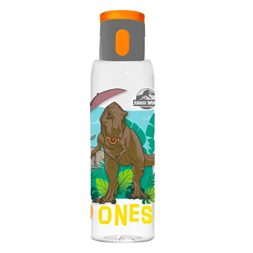 Dinosaur Kids Water Bottle with Flip Straw Lid & Carry Strap – Wild Dinosaurs | 161418-270A