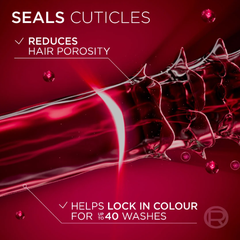 L'Oréal Paris Elvive Colour Protect Shampoo