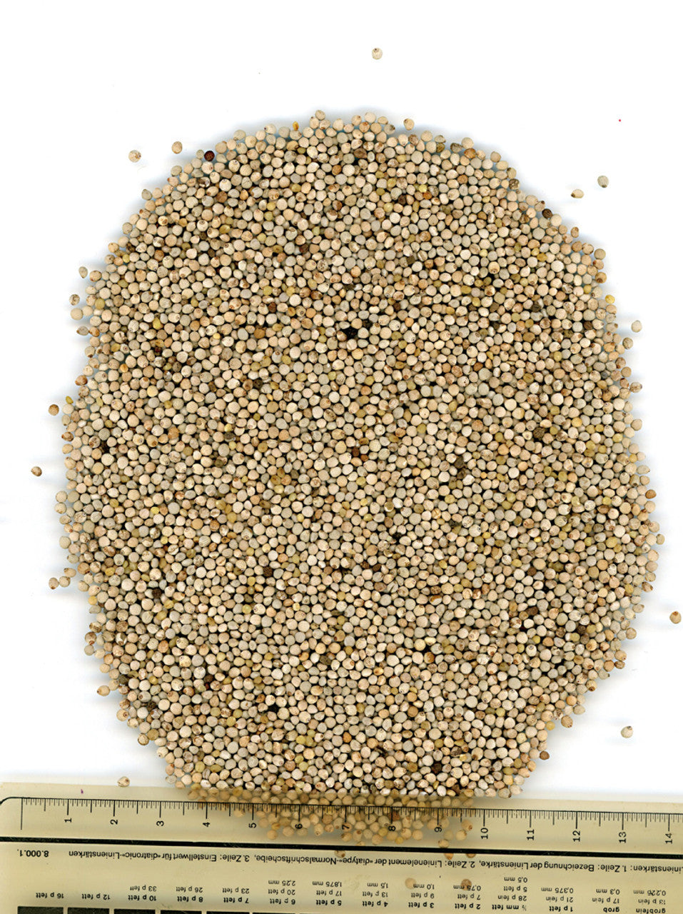 Manitoba Perilla Bianca Extra Bird Seed 1Kg | 3696/S