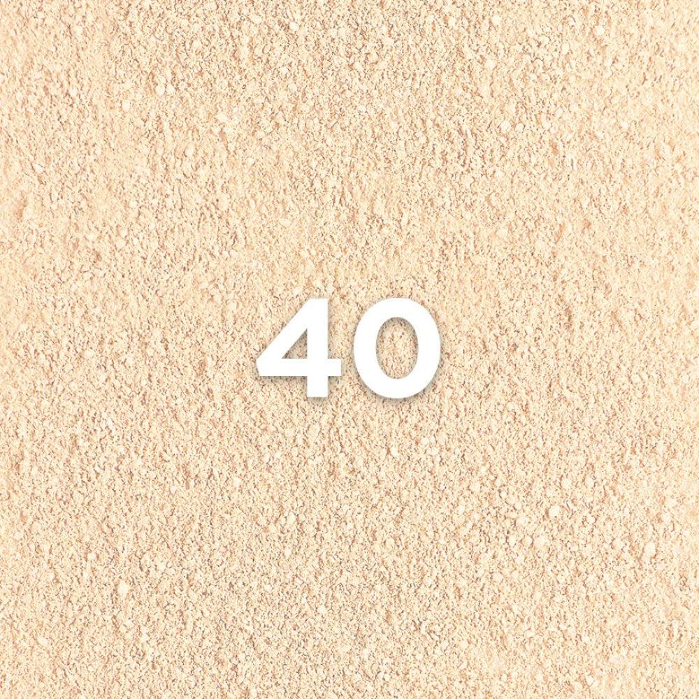 L’Oréal Paris Infaillible Up to 24H Fresh Wear Foundation in a Powder
