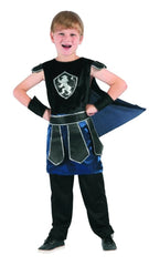 Knight Costume (Tunic, Cape, Belt, Armbands) | 091005