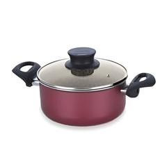 Tefal New Tempo Flame Dutch Oven 20 + SS Lid | C5484483