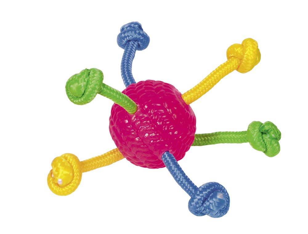 Nobby TPR Ball with Rope Dog Toy | 60031