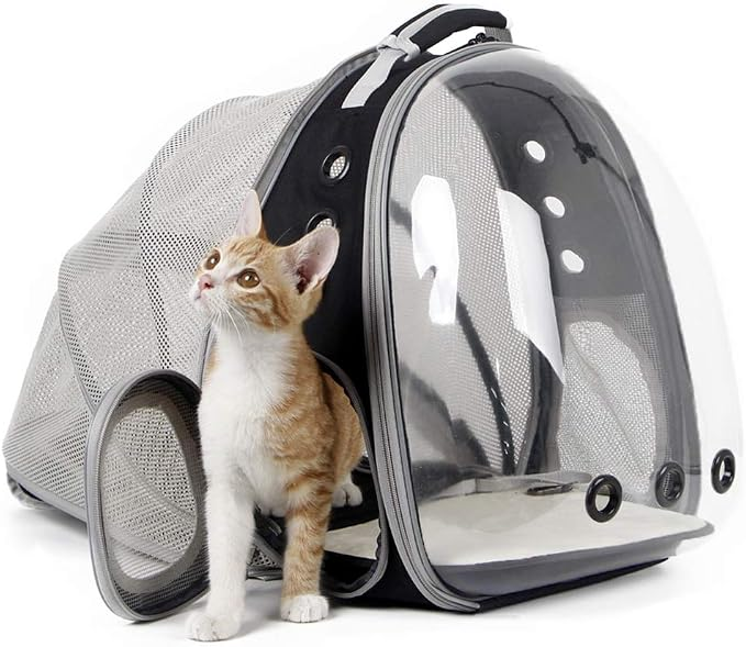 Expandable Bubble Cat Carrier Backpack | IG069