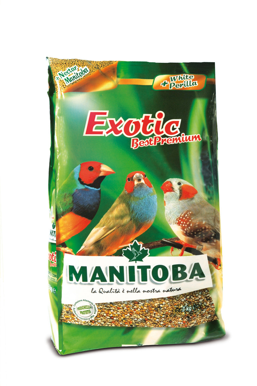 Manitoba Exotic Best Premium Bird Food 1Kg | 6140/1