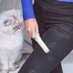 Portable Lint Roller | IG065