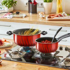 Tefal Tempo Flamme - Stewpot 24cm + SS Lid | C3044683
