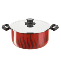 Tefal Tempo Flamme - Stewpot 24cm + SS Lid | C3044683
