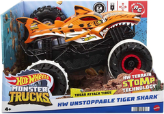 Hot Wheels RC Monster Truck | MTHWHGV87