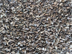Manitoba Kardo Selvatico Bird Seed 500g | 3698/S