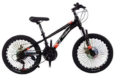 Phoenix Kids Bicycle Disc Brakes - 20 inch | FN-20